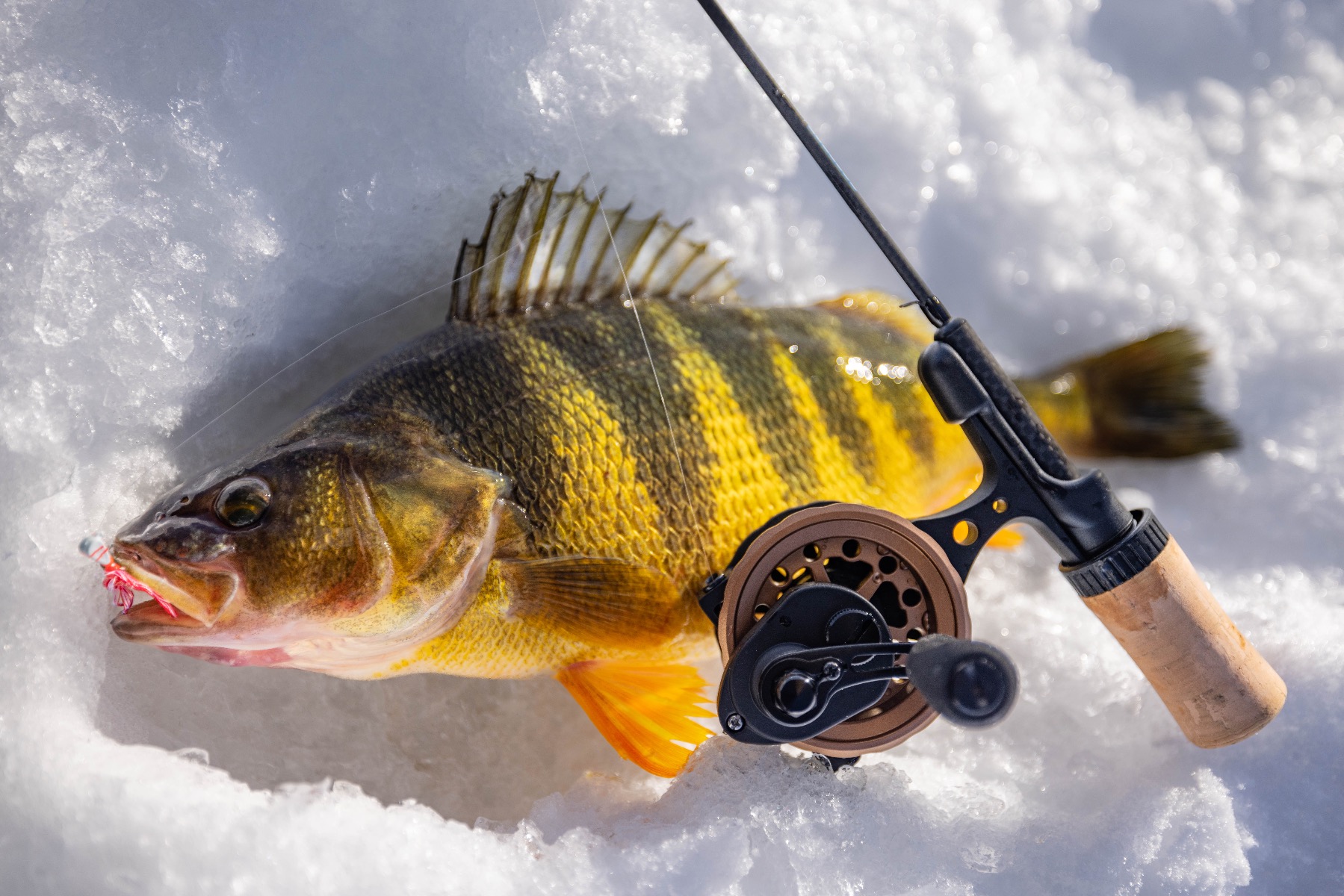 Frost Ice Fluorocarbon Fishing Line - Bulk Spool