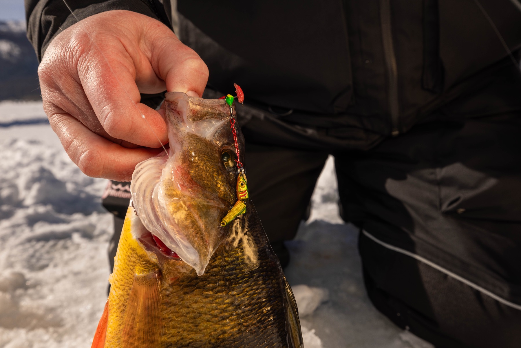 Gaff Epoxy Treble Hooks