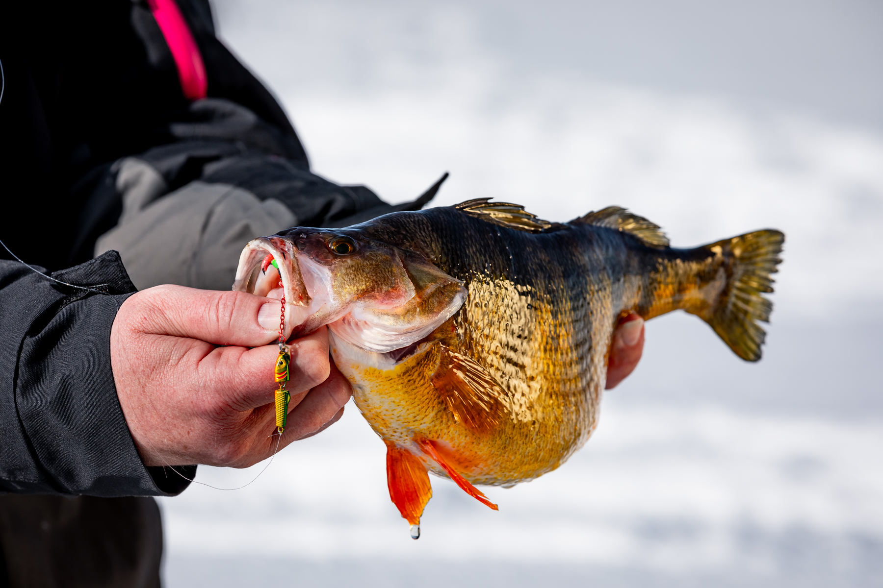 Gaff Epoxy Chain Treble Hooks