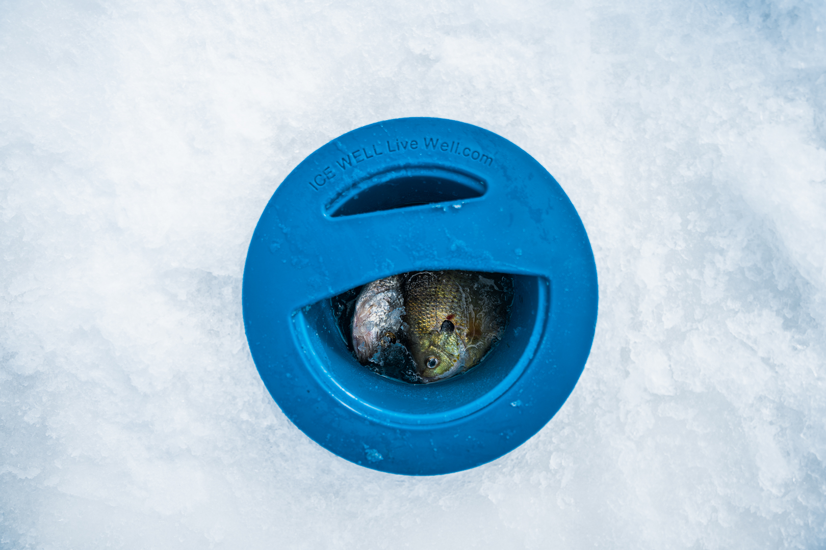 Ice Well Live Well