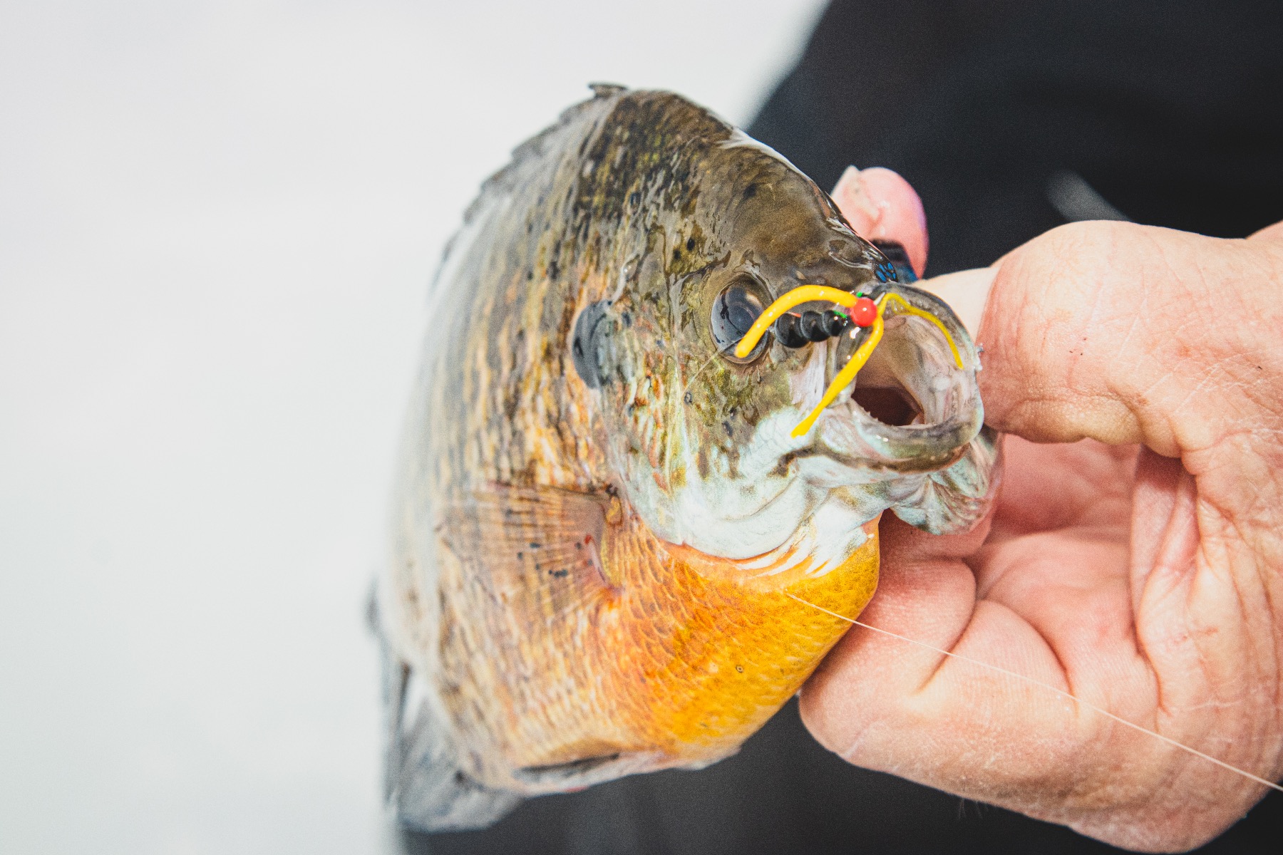 Half Ant Drop Jig