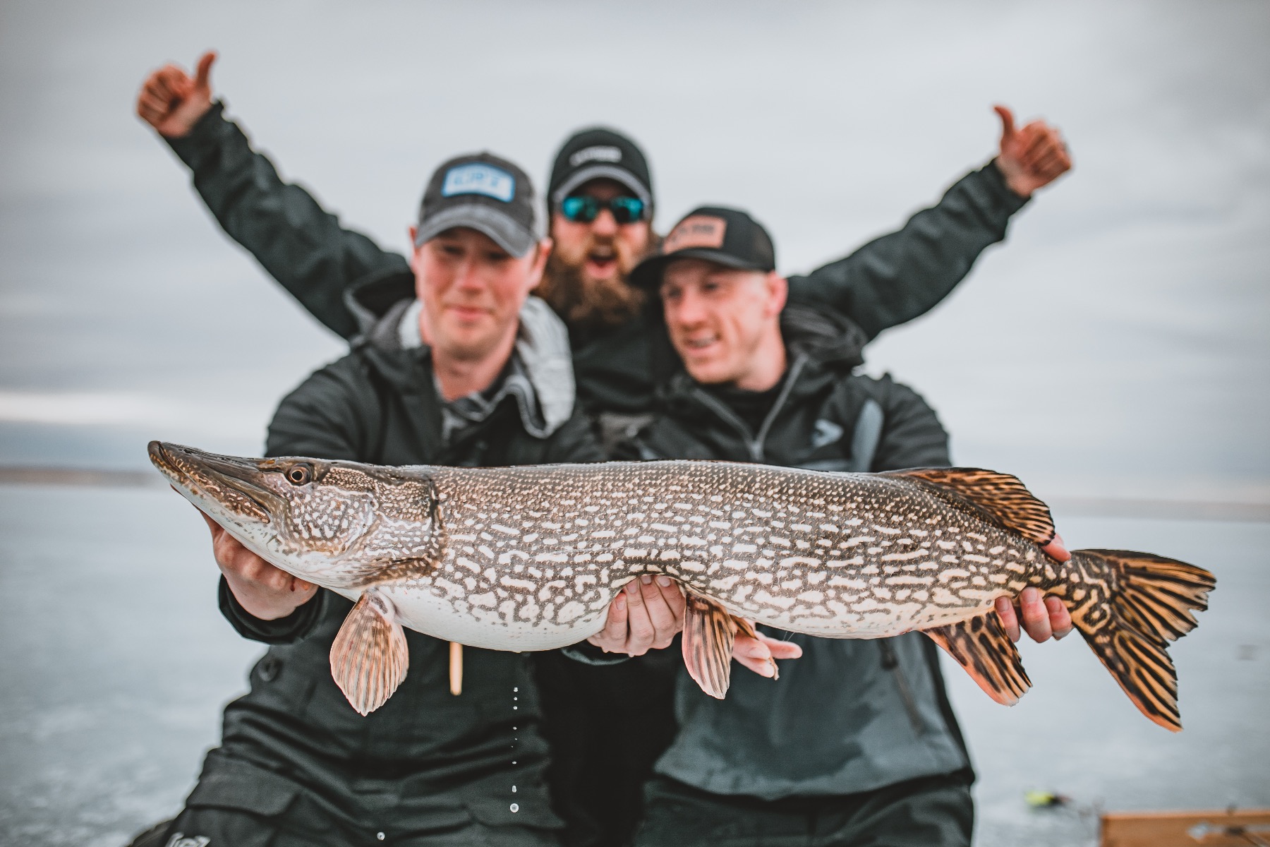 Bigtooth Rig